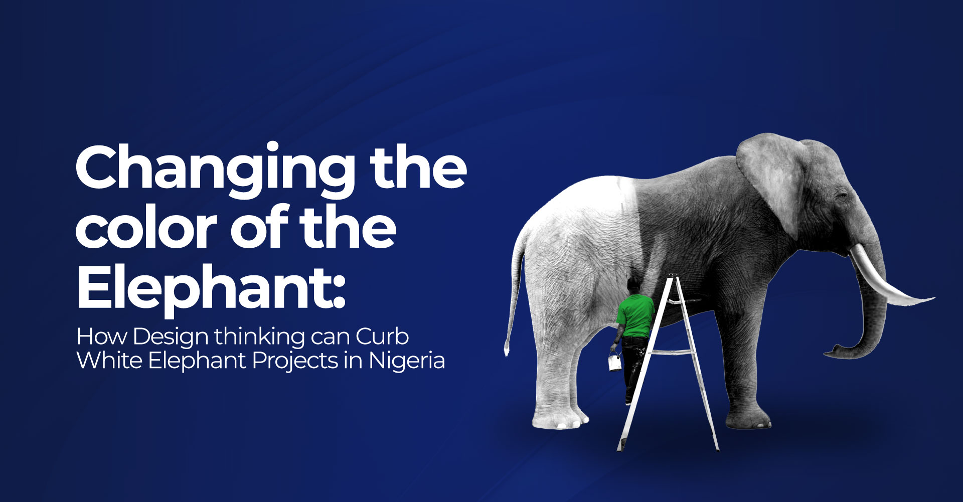 changing-the-color-of-the-elephant-how-design-thinking-can-curb-white